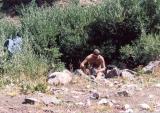wind_river_010_t.jpg 6.7K