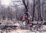 wind_river_021_t.jpg 7.2K