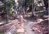 wind_river_023_t.jpg 6.3K