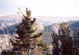 wind_river_027_t.jpg 4.8K
