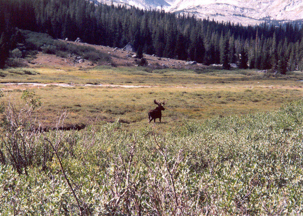 wind_river_038.jpg 255.6K