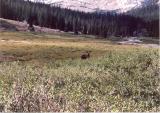 wind_river_039_t.jpg 6.0K