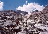 wind_river_044_t.jpg 6.7K